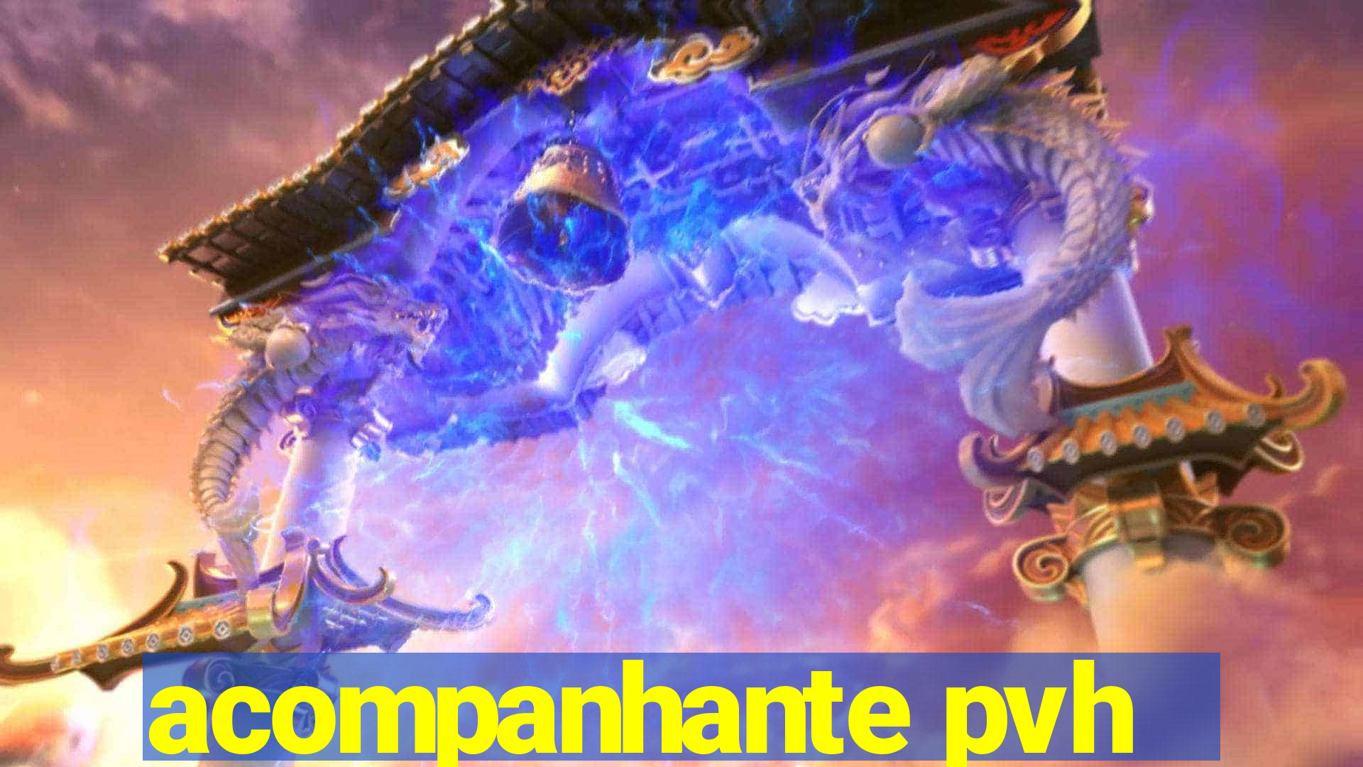 acompanhante pvh